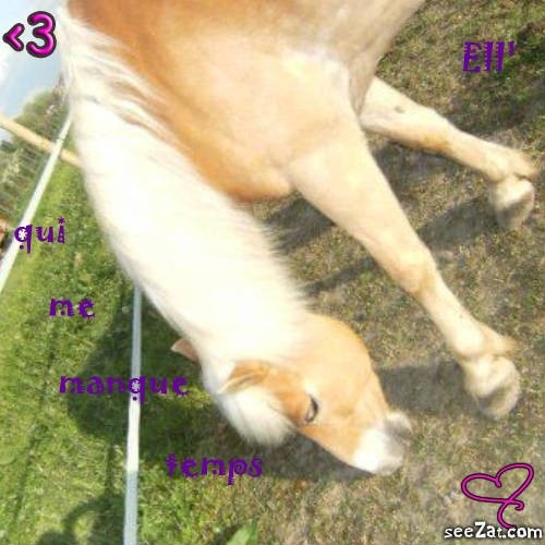 Photo de profil de justiiiine