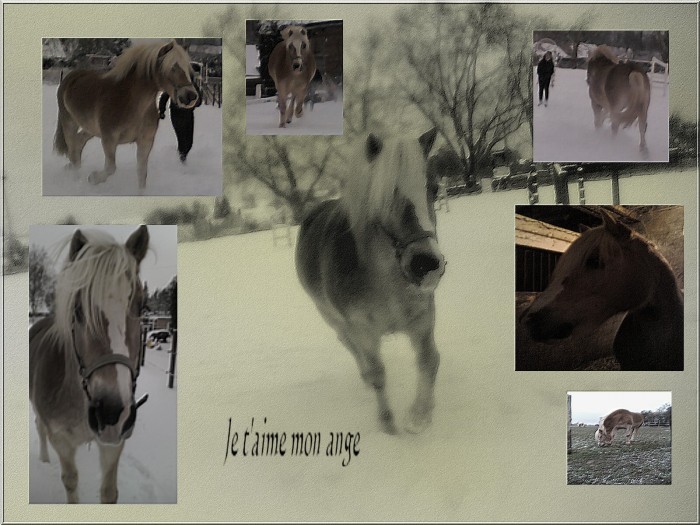 Photo de profil de sharlyne