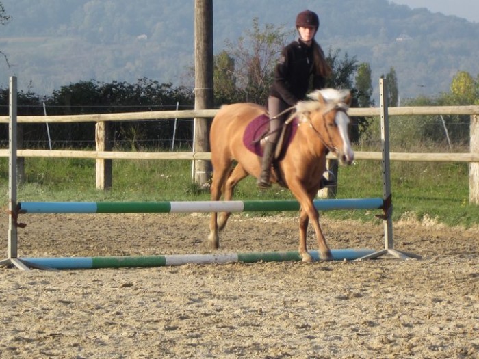 Photo de profil de horsespassion