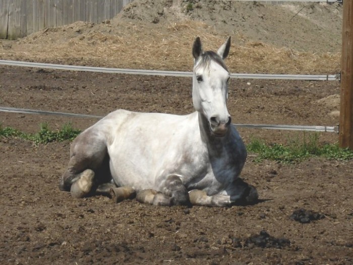 Photo de profil de mariion31