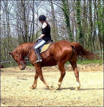 Photo de profil de maaa