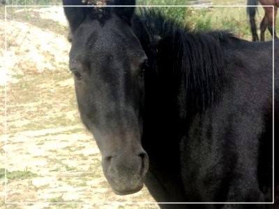 Photo de profil de pepitajtm