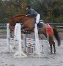 Photo de profil de laurasherco