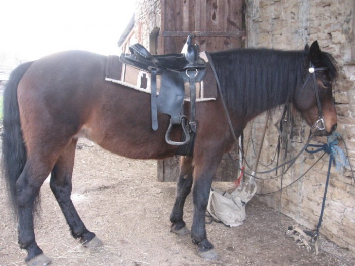 Photo de profil de sandre38