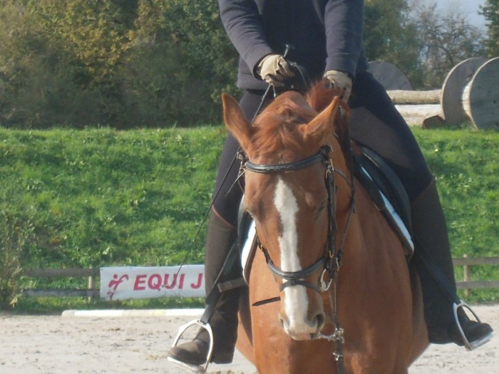 Photo de profil de catt92