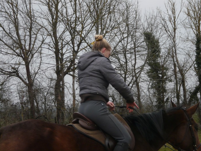 Photo de profil de stlendy