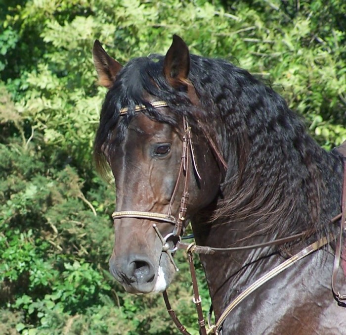 Photo de profil de lisebull