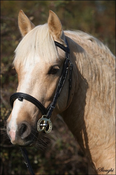 Photo de profil de angeline8