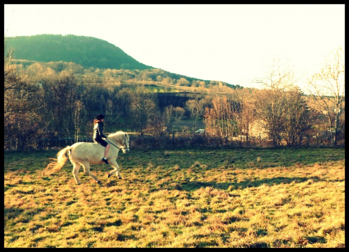 Photo de profil de manolive