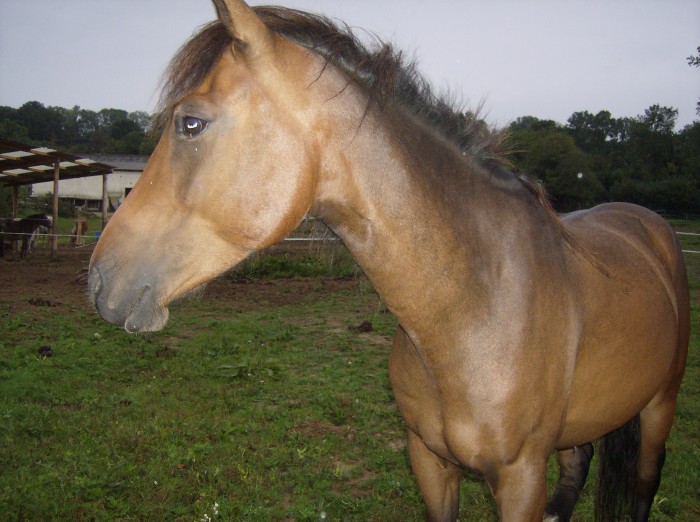 Photo de profil de quito38