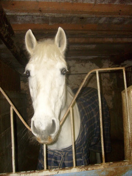 Photo de profil de harasdurambert