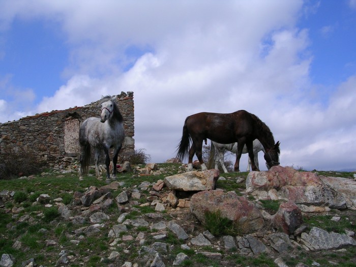 Photo de profil de equitsournia