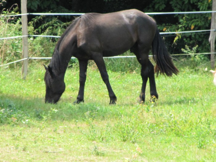 Photo de profil de juliega