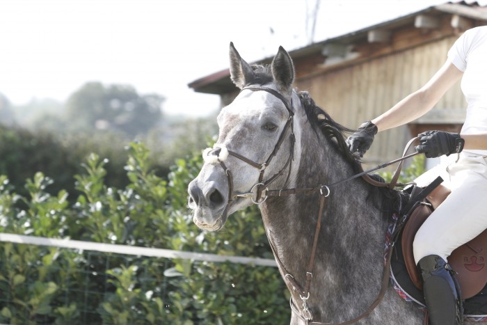 Photo de profil de rubby74