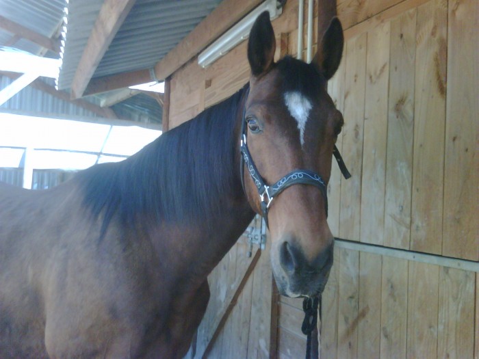 Photo de profil de marine1417