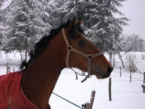 Photo de profil de raphaelpicard69