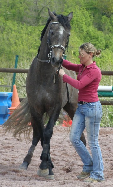 Photo de profil de equiservices14