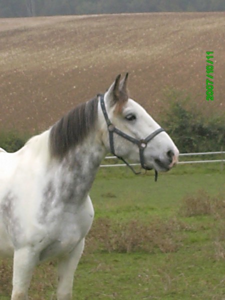 Photo de profil de targuia