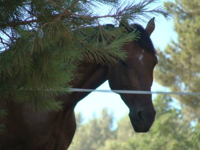 Photo de profil de val13