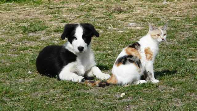 Photo de profil de lemenot