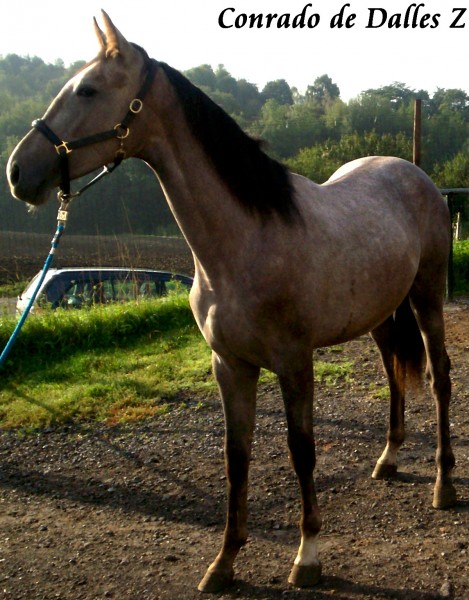 Photo de profil de angieteam