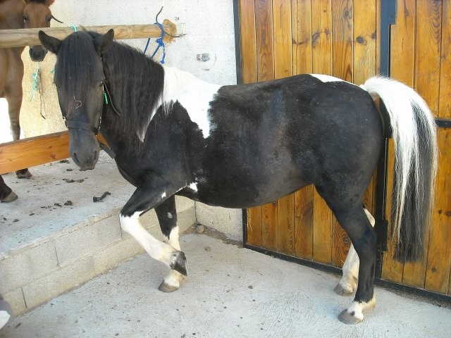 Photo de profil de lucifer270899