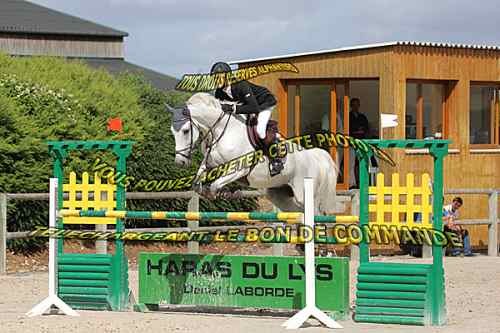 Photo de profil de jc77123