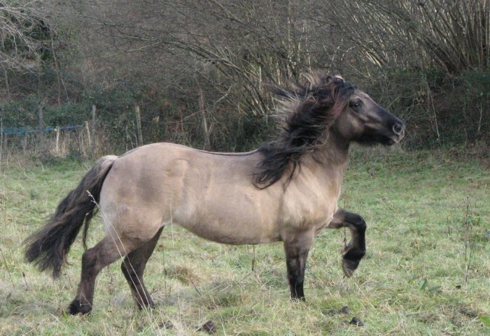Photo de profil de melbamouss