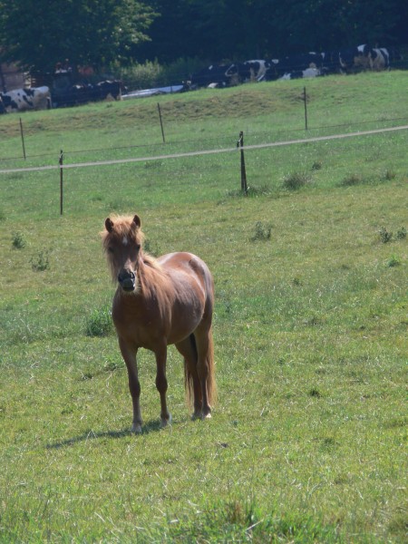 Photo de profil de chopie62