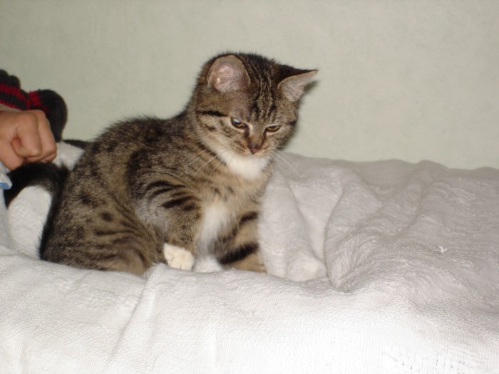 Photo de profil de kronos44
