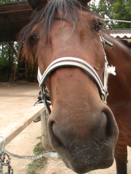 Photo de profil de malotte