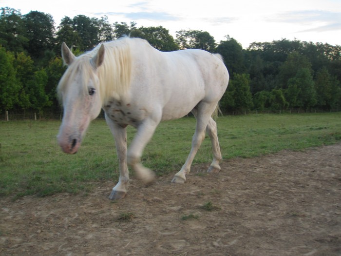 Photo de profil de judy_pillon