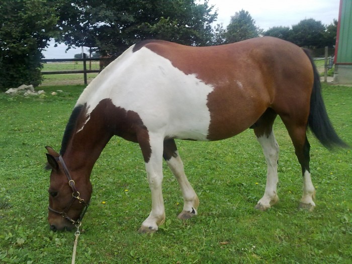 Photo de profil de eclairdemai01