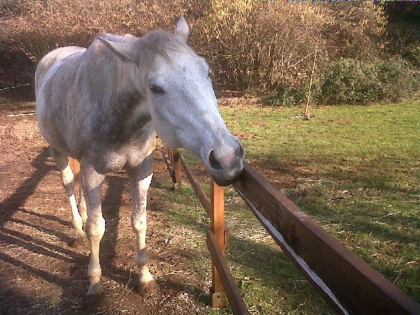 Photo de profil de warhodu71