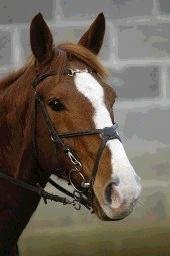 Photo de profil de loulou110710