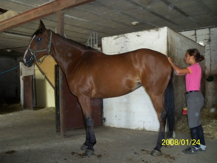 Photo de profil de 1992