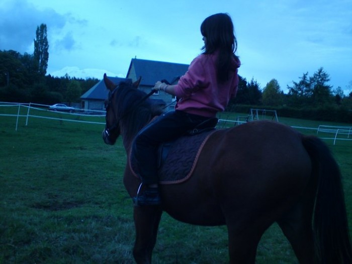 Photo de profil de cheval27930