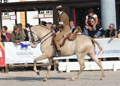 Photo de profil de lusitanos
