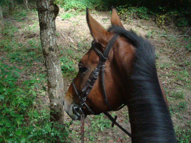 Photo de profil de joviale58