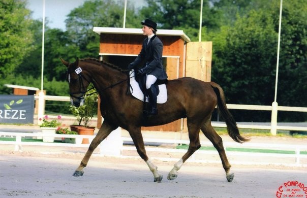 Photo de profil de stephanied.