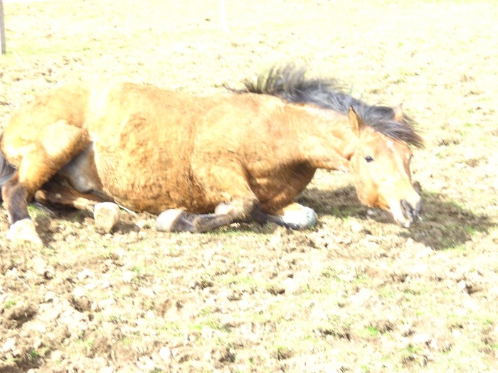 Photo de profil de virginia16