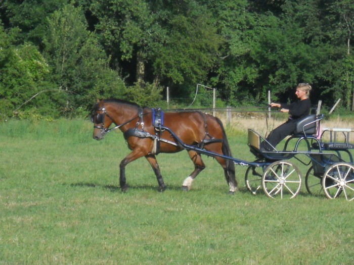 Photo de profil de nadiavii