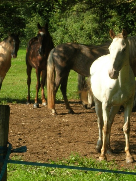 Photo de profil de lubika