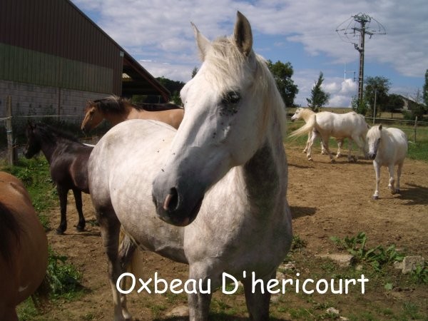 Photo de profil de pxlpxl90
