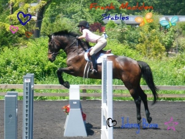 Photo de profil de globalhorses