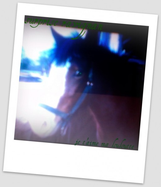 Photo de profil de clacladu22