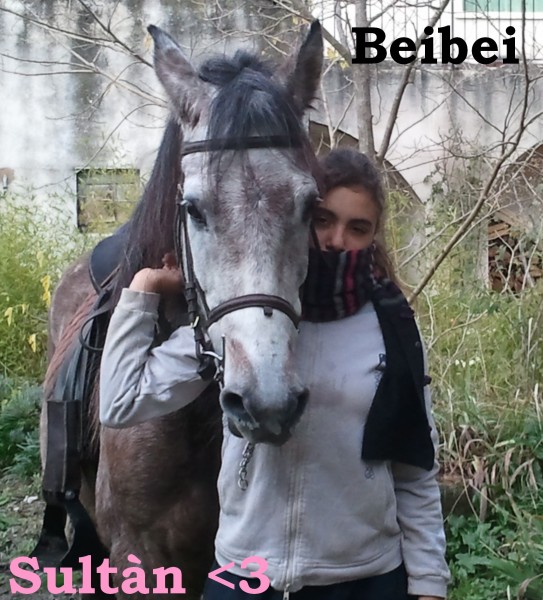 Photo de profil de beibei