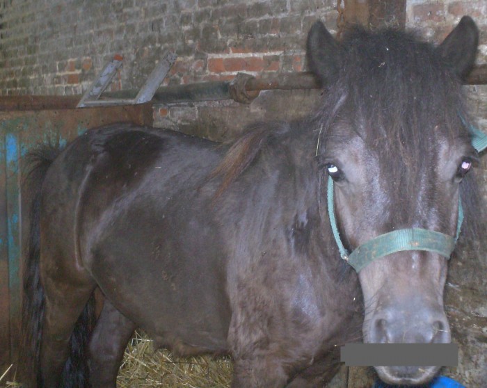 Photo de profil de sircee60