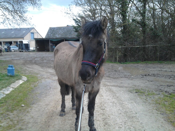 Photo de profil de clochette19