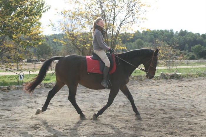 Photo de profil de maeglin